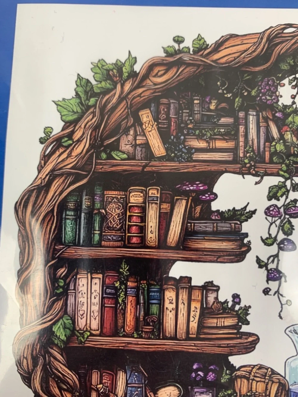 Cross Stitch Kit Crescent Moon Bookcase Stamped 14 Count NEW Whimsy Witchy